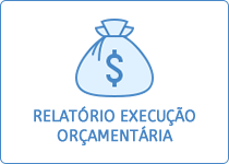 Relatório de Execução Orçamentária